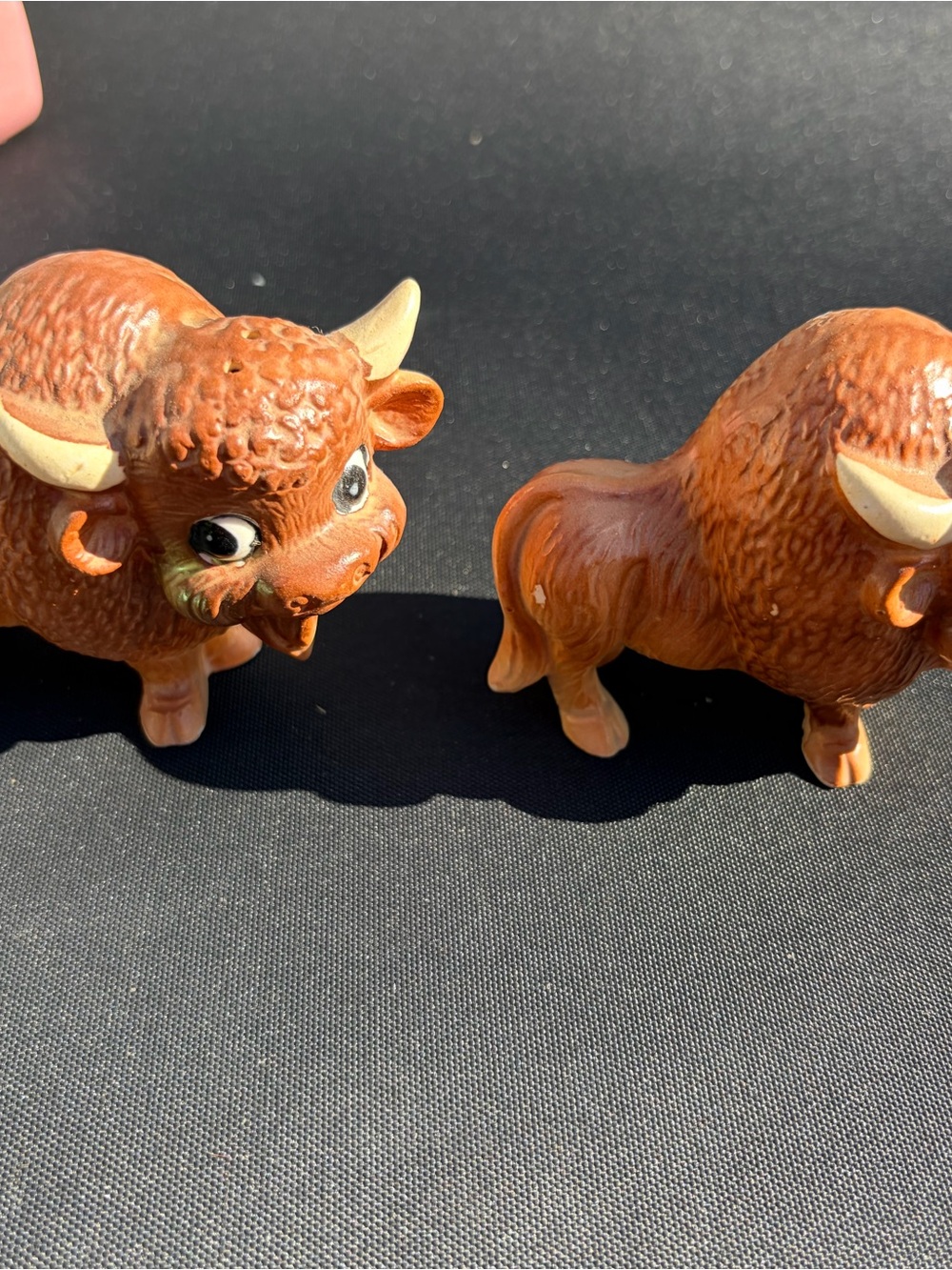 Vintage 1960 Brown buffalo pepper shaker set